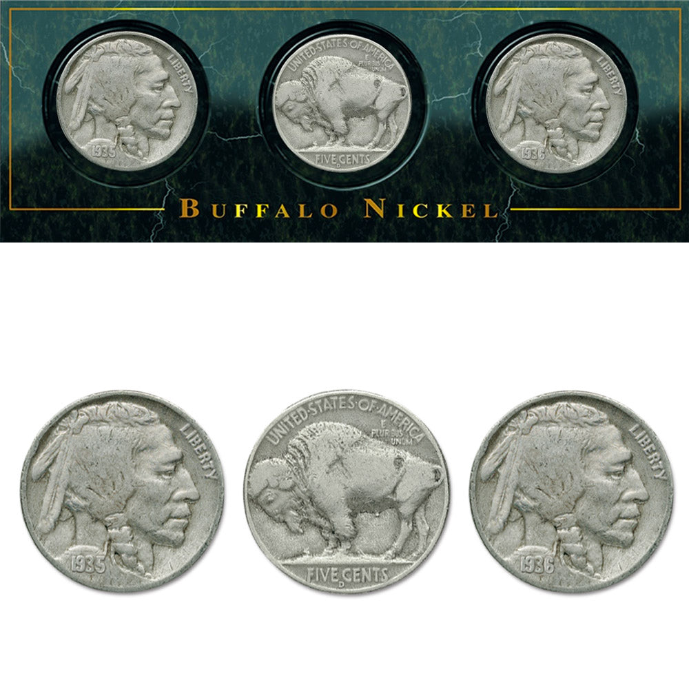 Monete da collezione d'America - Set di nichel di bufalo